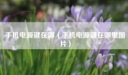 手机电源键在哪（手机电源键在哪里图片）