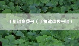 手机键盘拨号（手机键盘拨号键）