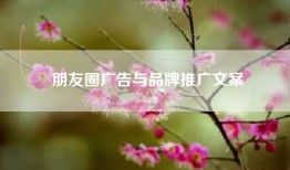 朋友圈广告与品牌推广文案