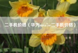 二手机价格（华为nova7se二手机价格）