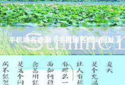 手机域名查询（手机域名查询网址）