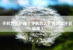 手机怎么扩音（手机怎么扩音到蓝牙音箱里）