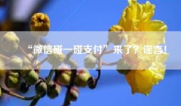 “微信碰一碰支付”来了？谣言！