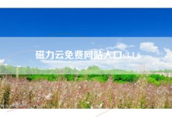 磁力云免费网站入口v3.1.6