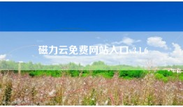 磁力云免费网站入口v3.1.6