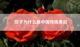 饺子为什么是中国传统食品