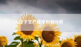 饺子生产成本利润分析