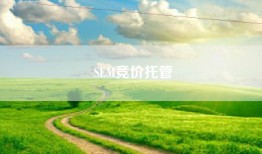 SEM竞价托管