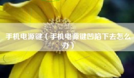 手机电源键（手机电源键凹陷下去怎么办）