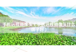 手机远程摄像头（手机远程摄像头什么牌子好）