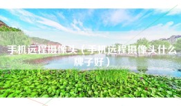 手机远程摄像头（手机远程摄像头什么牌子好）