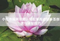 小红书编辑攻略，轻松掌握话题标签创建与添加技巧