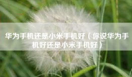 华为手机还是小米手机好（你说华为手机好还是小米手机好）