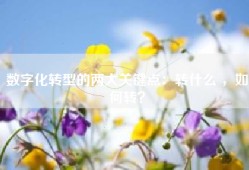 数字化转型的两大关键点：转什么 ，如何转？