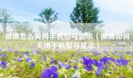 微博怎么关闭手机型号显示（微博如何关闭手机型号显示）