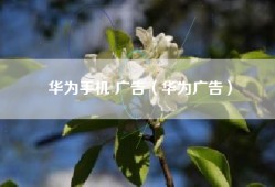 华为手机 广告（华为广告）