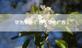 华为手机 广告（华为广告）
