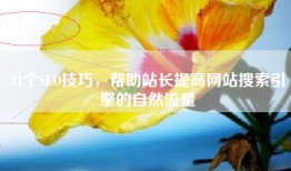 11个SEO技巧，帮助站长提高网站搜索引擎的自然流量