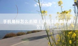 手机角标怎么去掉（手机上的角标是什么）