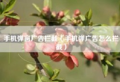 手机弹窗广告拦截（手机弹广告怎么拦截）