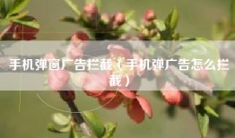 手机弹窗广告拦截（手机弹广告怎么拦截）