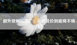 做外贸网站推广：谷歌竞价到底烧不烧钱？