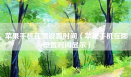 苹果手机在哪设置时间（苹果手机在哪设置时间显示）