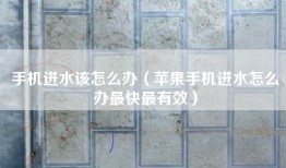 手机进水该怎么办（苹果手机进水怎么办最快最有效）