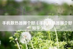 手机散热器哪个好（手机散热器哪个好知乎）