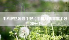手机散热器哪个好（手机散热器哪个好知乎）