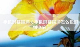 手机屏幕损坏（手机屏幕损坏怎么投屏到电脑）