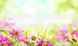 你粉你的李子柒，我追我的桃子姐