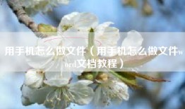 用手机怎么做文件（用手机怎么做文件word文档教程）