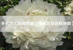 手机怎么远程协助（手机怎样远程协助）
