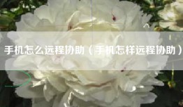 手机怎么远程协助（手机怎样远程协助）