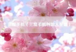 兰度手机（兰度手机创始人是谁）