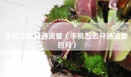手机怎么开通流量（手机怎么开通流量包月）
