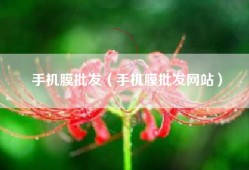 手机膜批发（手机膜批发网站）
