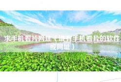 求手机看片网址（谁有手机看片的软件或网址）