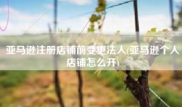 亚马逊注册店铺前变更法人(亚马逊个人店铺怎么开)