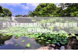 怎么用手机压缩照片（怎么用手机压缩照片到500kb）
