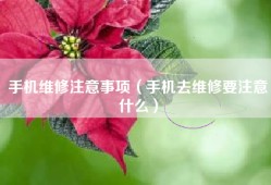 手机维修注意事项（手机去维修要注意什么）