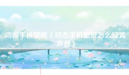 动画手机壁纸（动态手机壁纸怎么设置声音）