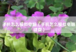 手机怎么模拟电脑（手机怎么模拟电脑键盘）