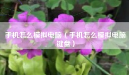 手机怎么模拟电脑（手机怎么模拟电脑键盘）
