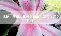 揭秘：手机nfc是什么功能？苹果nfc怎么打开？