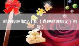 哔哩哔哩绑定手机（哔哩哔哩绑定手机号）