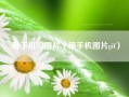 砸手机的图片（砸手机图片gif）