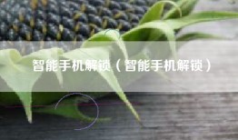 智能手机解锁（智能手机解锁）