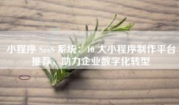 小程序 SaaS 系统：10 大小程序制作平台推荐，助力企业数字化转型